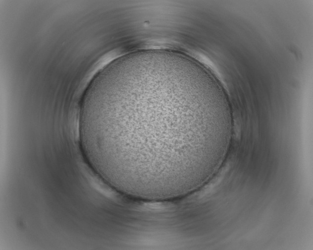 X0000113961227200910091622