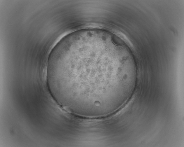 X0000113961228200910091622