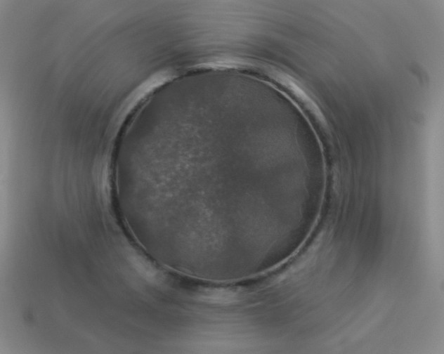 X0000113961229200910091622