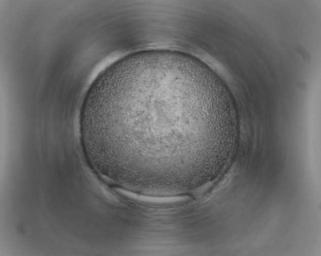 X0000113961230200910091622