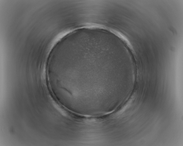 X0000113961231200910091622