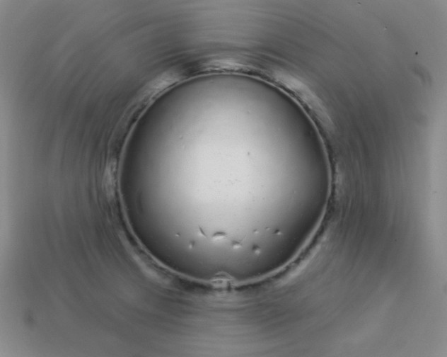 X0000113961233200910091622