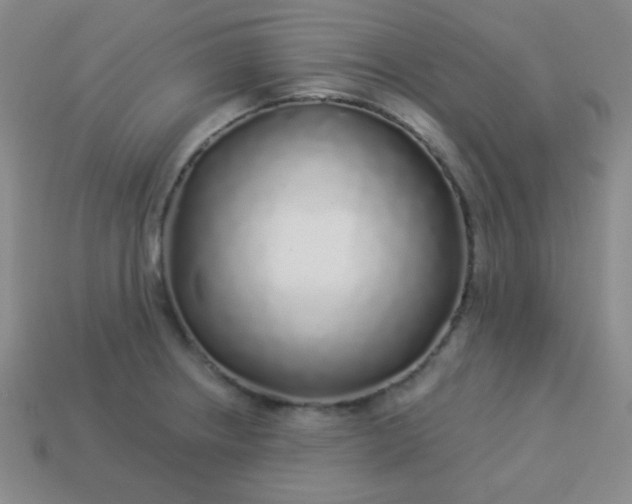 X0000113961234200910091622