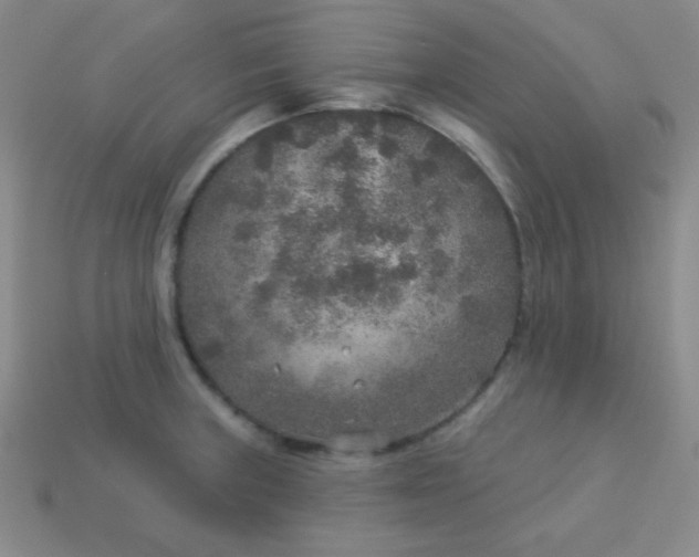 X0000113961235200910091622