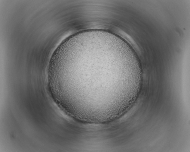 X0000113961236200910091622