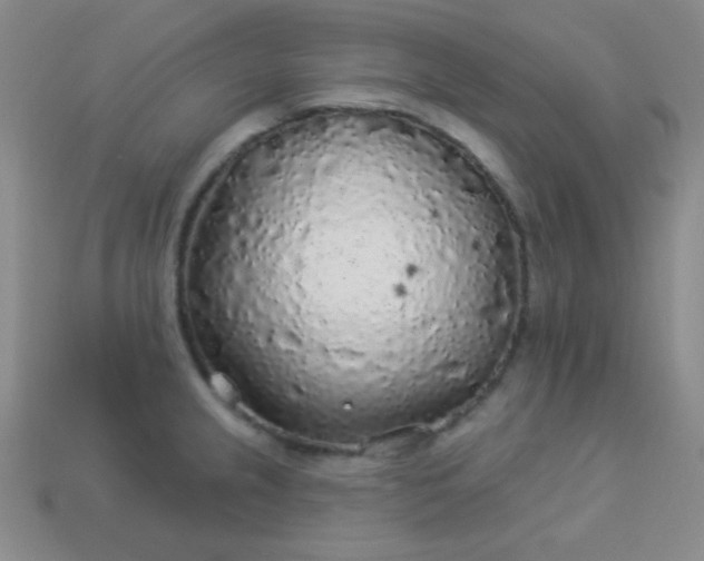 X0000113961237200910091622