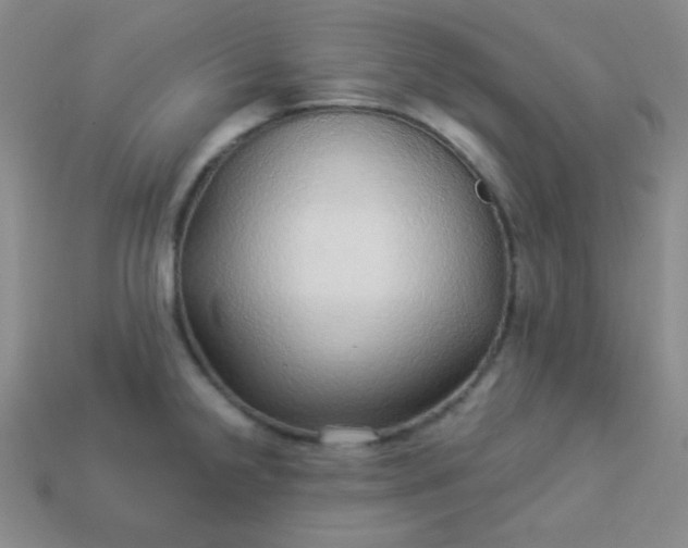 X0000113961238200910091622