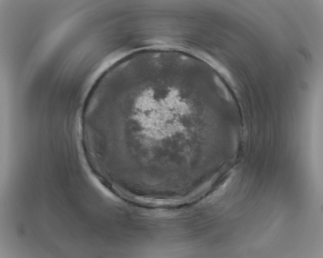 X0000113961239200910091622