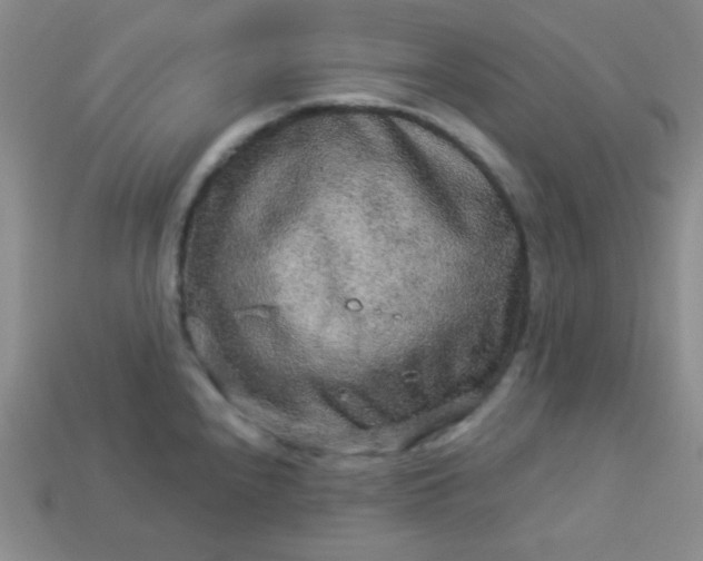 X0000113961240200910091622