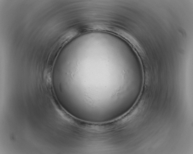 X0000113961241200910091622