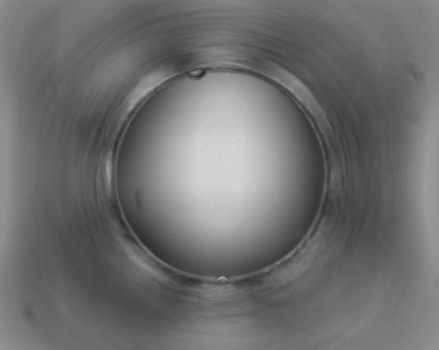 X0000113961242200910091622