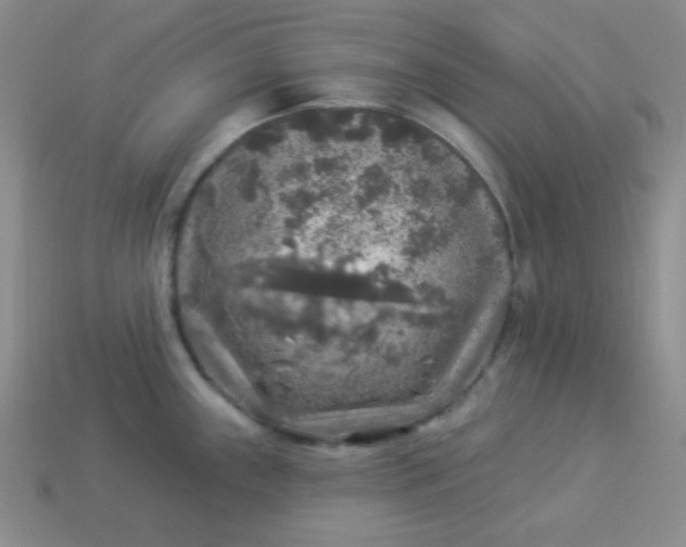 X0000113961243200910091622