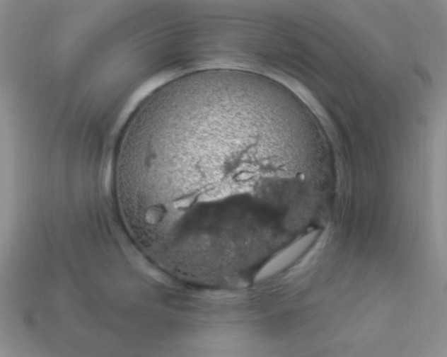 X0000113961246200910091623