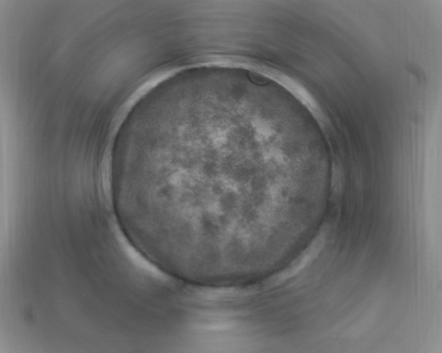 X0000113961247200910091623