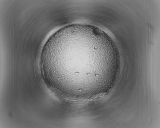 X0000113961248200910091623