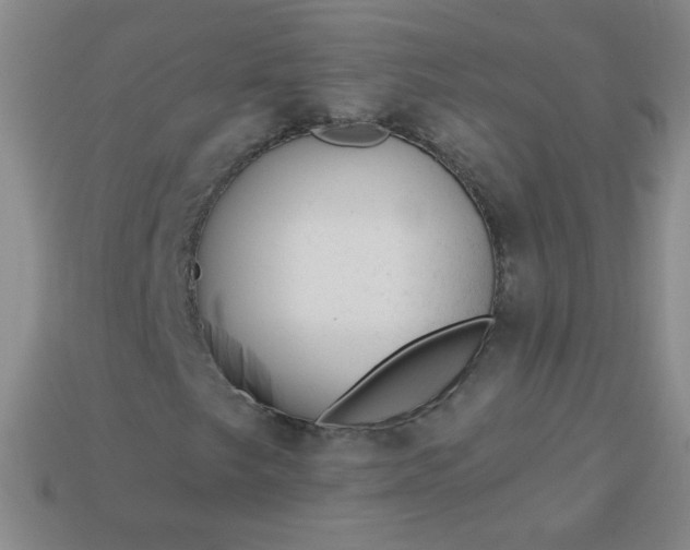 X0000113961249200910091622