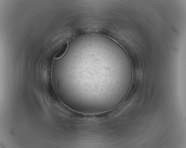 X0000113961250200910091622