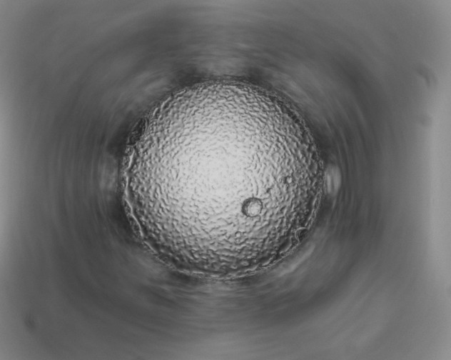 X0000113961251200910091622