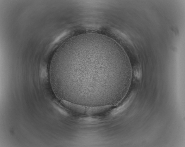 X0000113961252200910091622