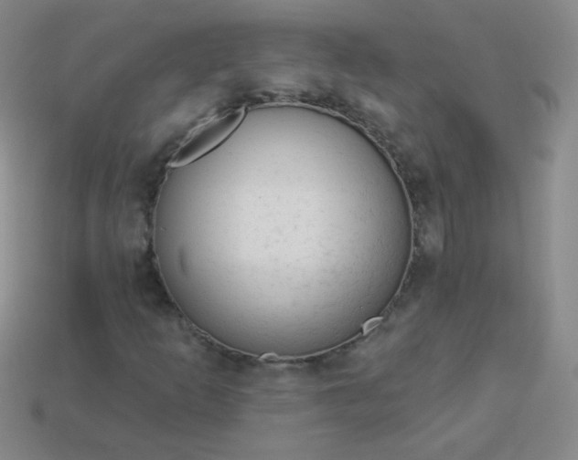 X0000113961253200910091622