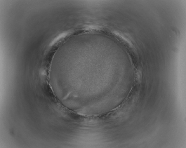 X0000113961254200910091622