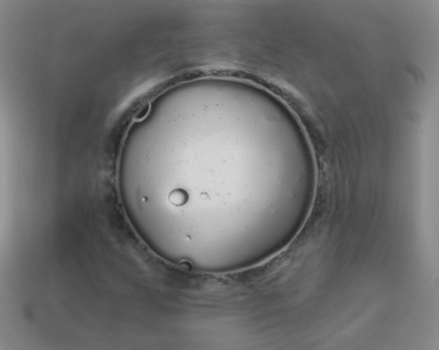 X0000113961255200910091622