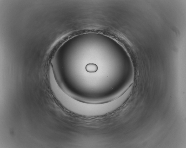 X0000113961256200910091622