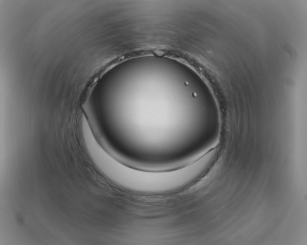 X0000113961257200910091622