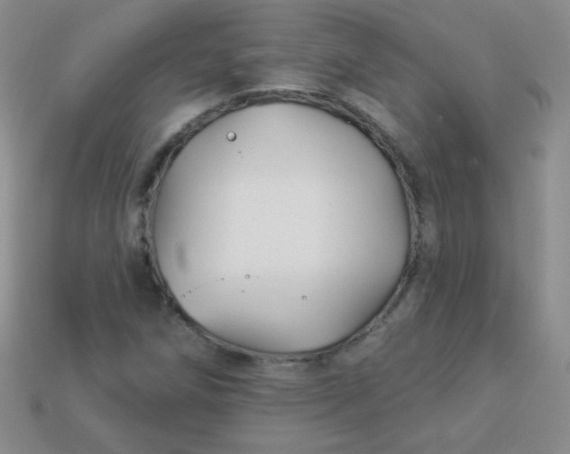 X0000113961258200910091622