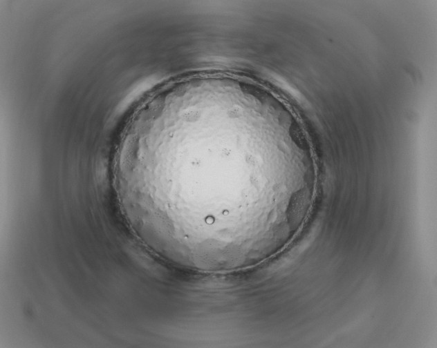 X0000113961259200910091622