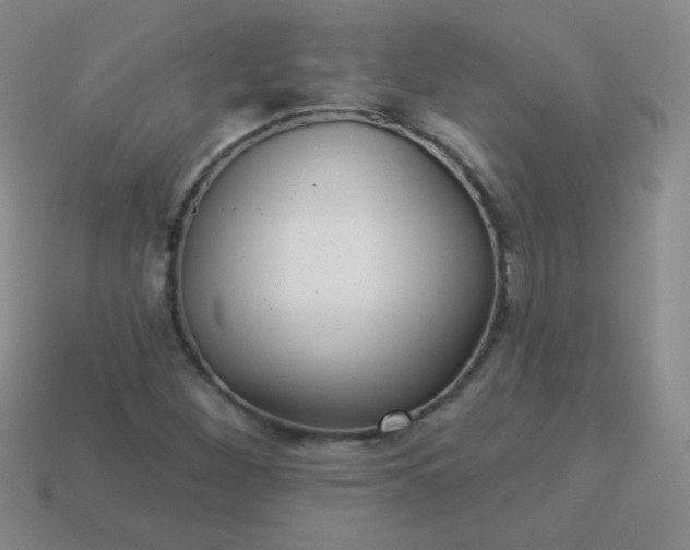 X0000113961260200910091622