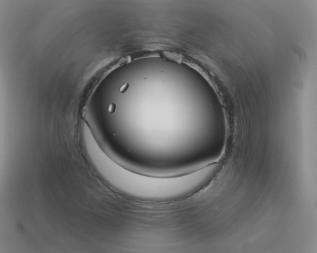 X0000113961261200910091622