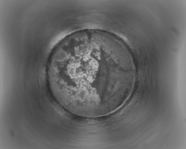 X0000113961263200910091622