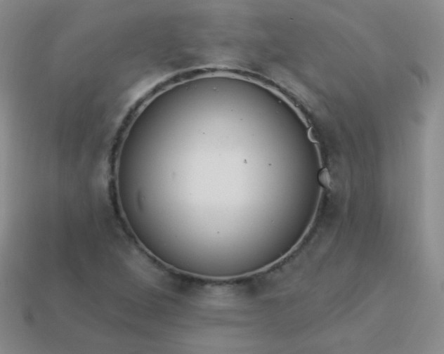 X0000113961264200910091622