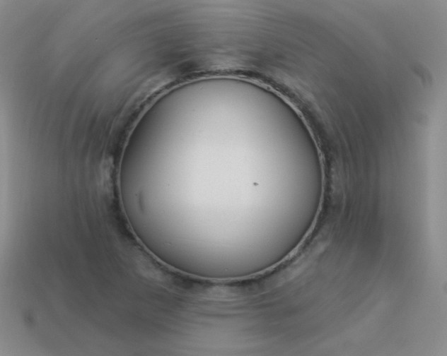 X0000113961265200910091622