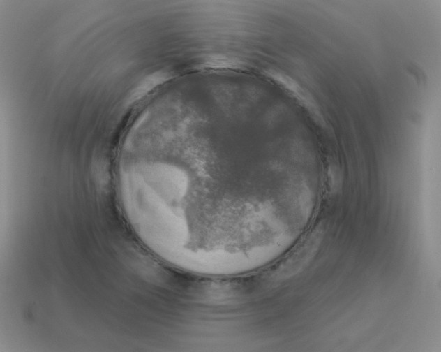 X0000113961266200910091622