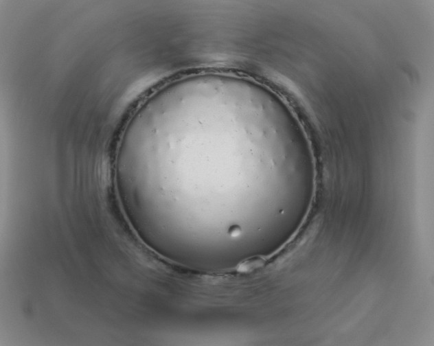 X0000113961267200910091622