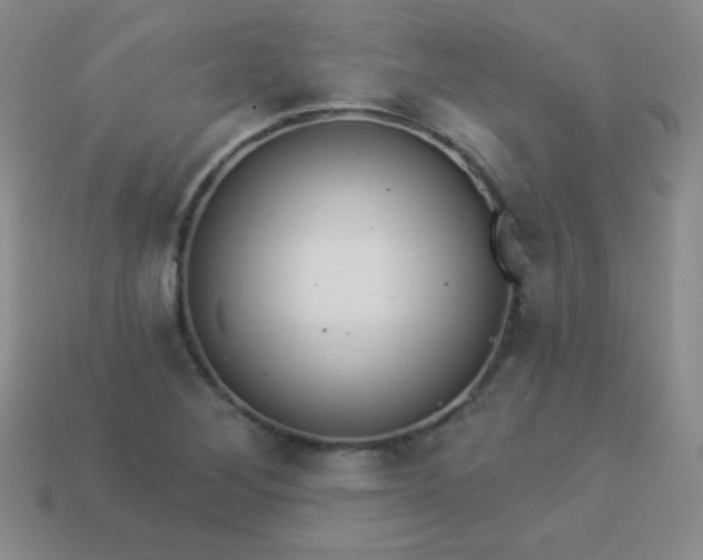 X0000113961268200910091622