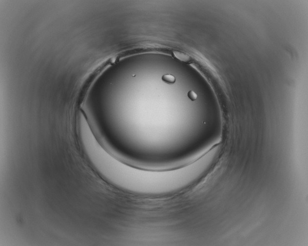 X0000113961269200910091622