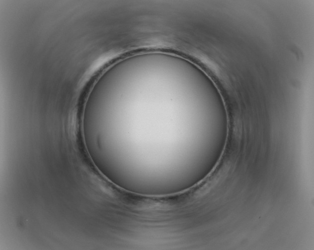 X0000113961270200910091622