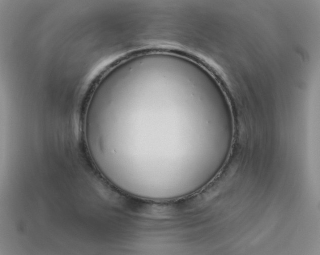 X0000113961271200910091622