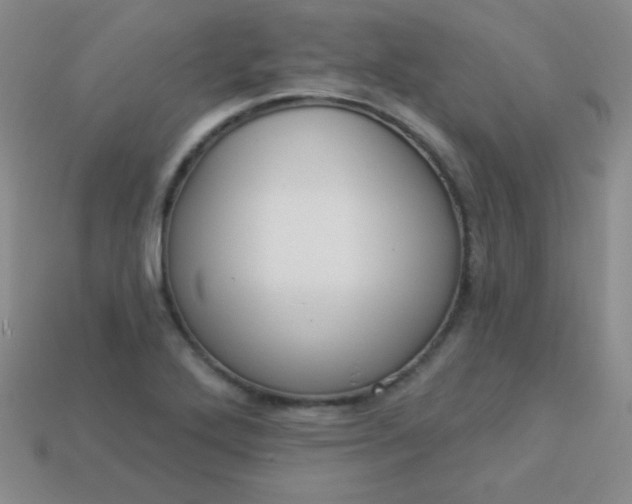 X0000113961272200910091622