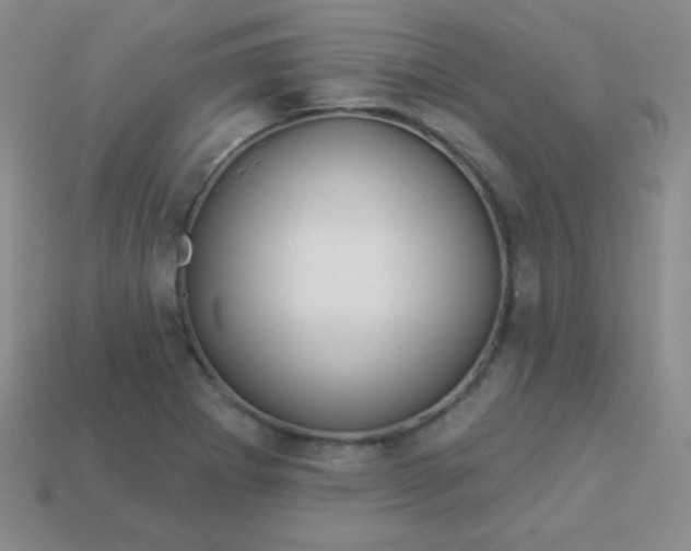 X0000113961273200910091622