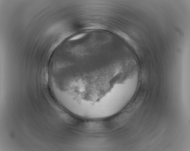 X0000113961274200910091622