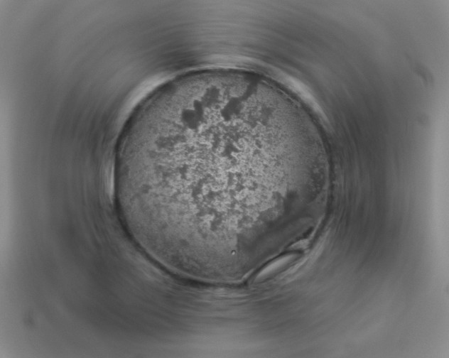 X0000113961275200910091622