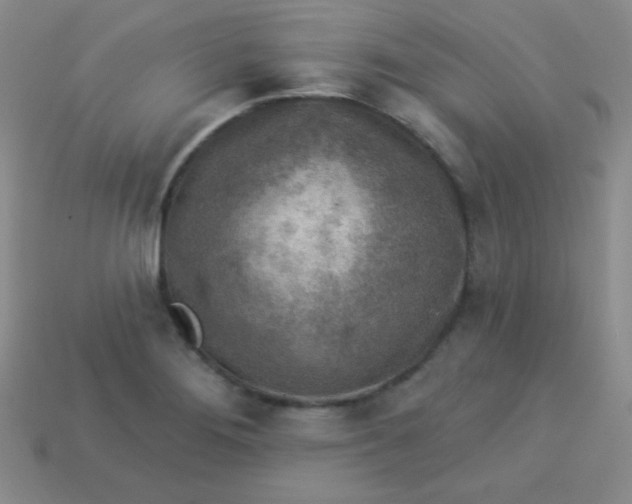 X0000113961276200910091622