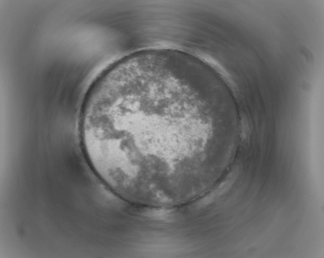 X0000113961278200910091622