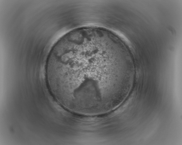 X0000113961279200910091622