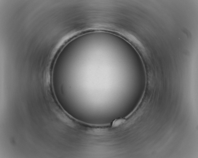 X0000113961280200910091622