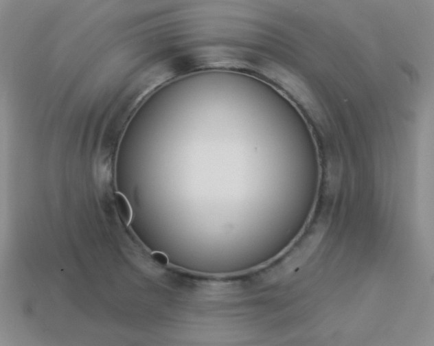 X0000113961281200910091622